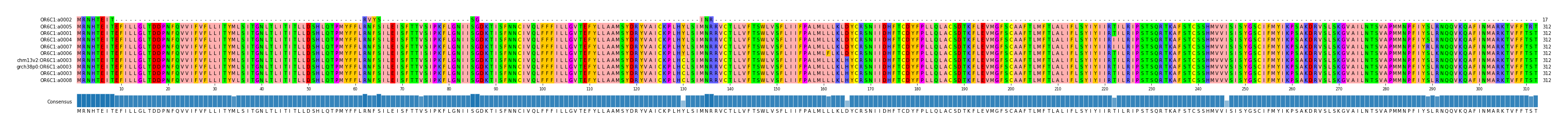 Multiple Alignments (by translate haplotype similarity)