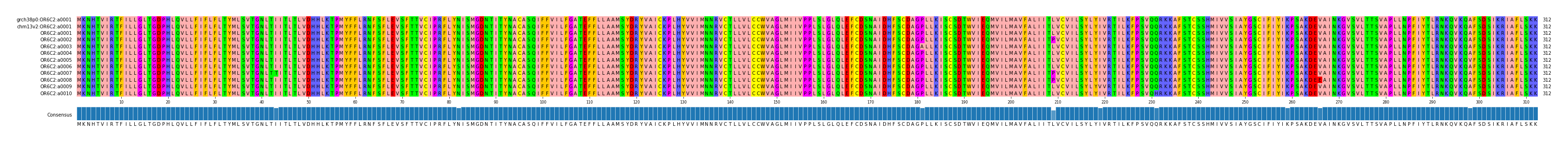 Multiple Alignments (by translate haplotype frequency)