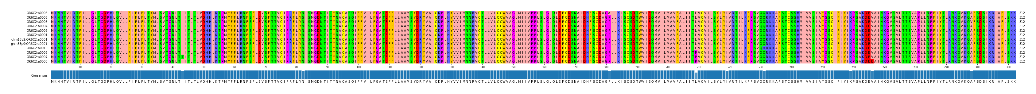 Multiple Alignments (by translate haplotype similarity)