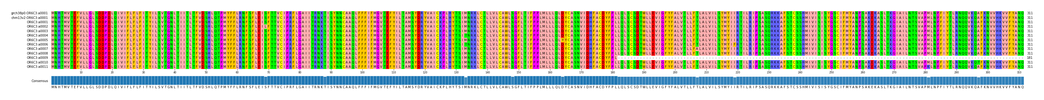 Multiple Alignments (by translate haplotype frequency)