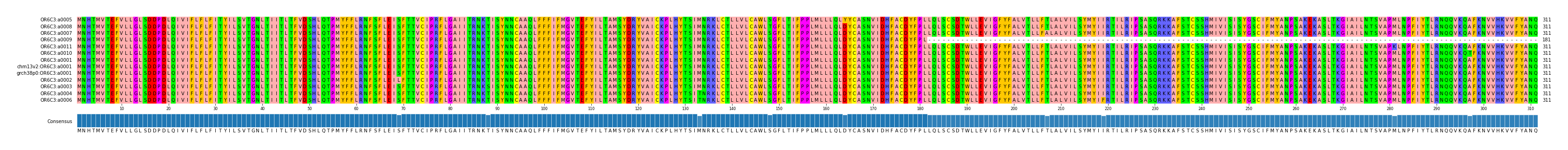Multiple Alignments (by translate haplotype similarity)