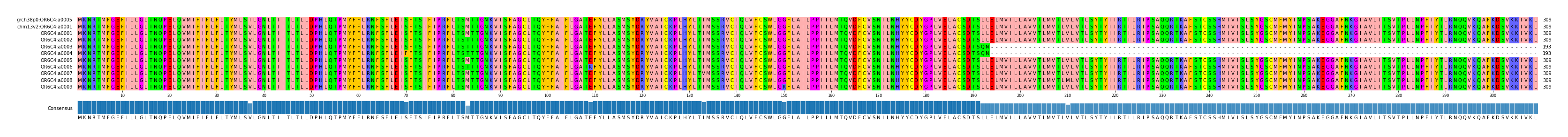 Multiple Alignments (by translate haplotype frequency)