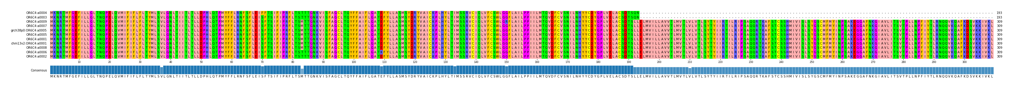 Multiple Alignments (by translate haplotype similarity)