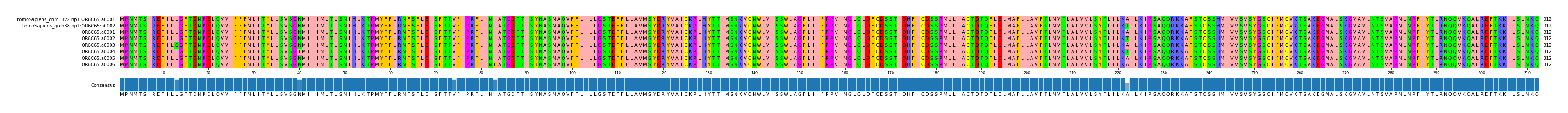 Multiple Alignments (by translate haplotype frequency)