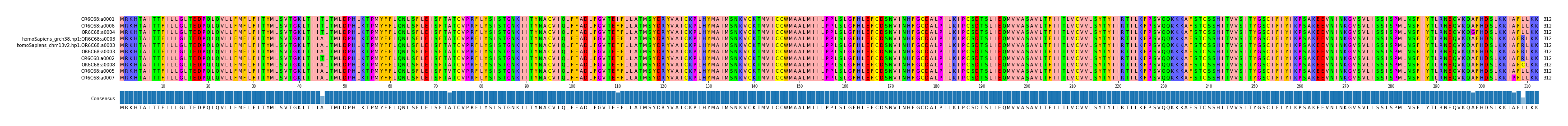 Multiple Alignments (by translate haplotype similarity)