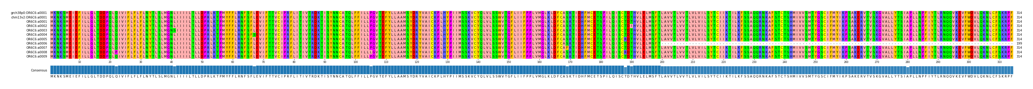 Multiple Alignments (by translate haplotype frequency)