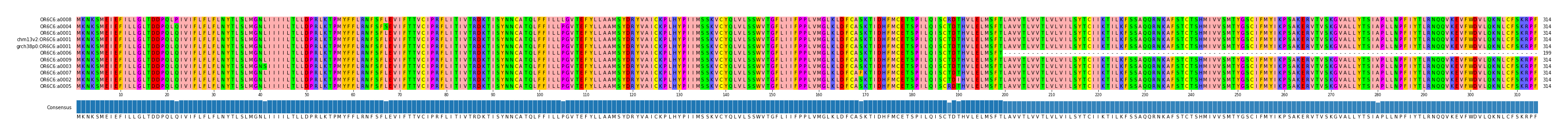 Multiple Alignments (by translate haplotype similarity)