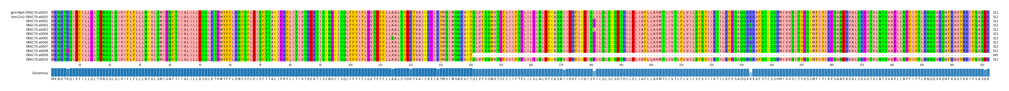 Multiple Alignments (by translate haplotype frequency)