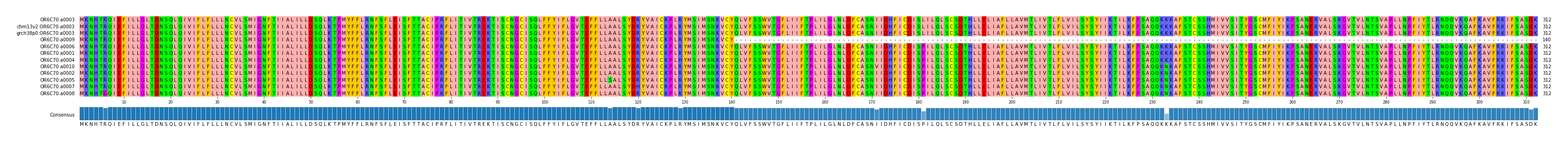 Multiple Alignments (by translate haplotype similarity)