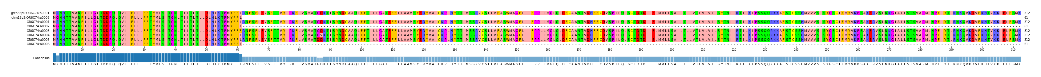 Multiple Alignments (by translate haplotype frequency)