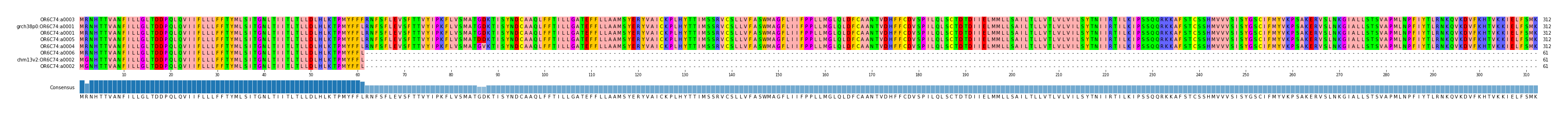 Multiple Alignments (by translate haplotype similarity)
