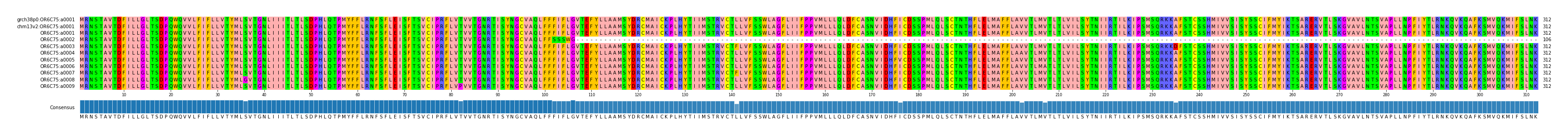 Multiple Alignments (by translate haplotype frequency)