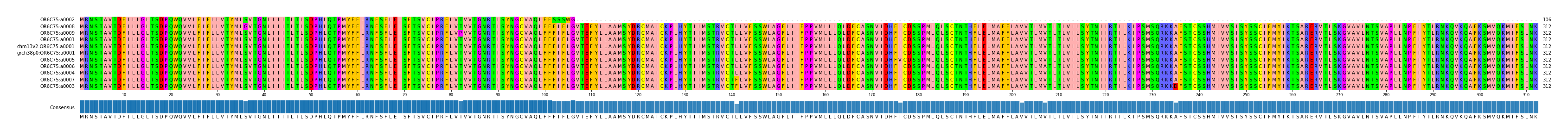 Multiple Alignments (by translate haplotype similarity)