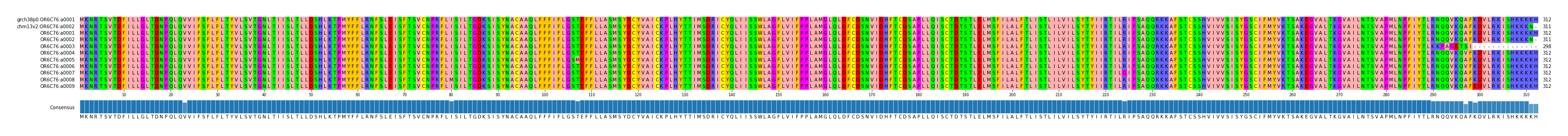 Multiple Alignments (by translate haplotype frequency)