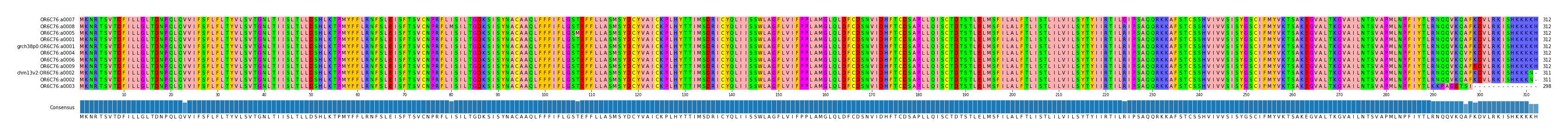 Multiple Alignments (by translate haplotype similarity)