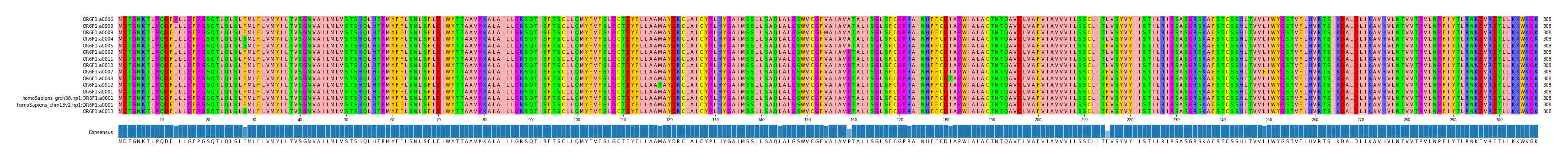 Multiple Alignments (by translate haplotype similarity)
