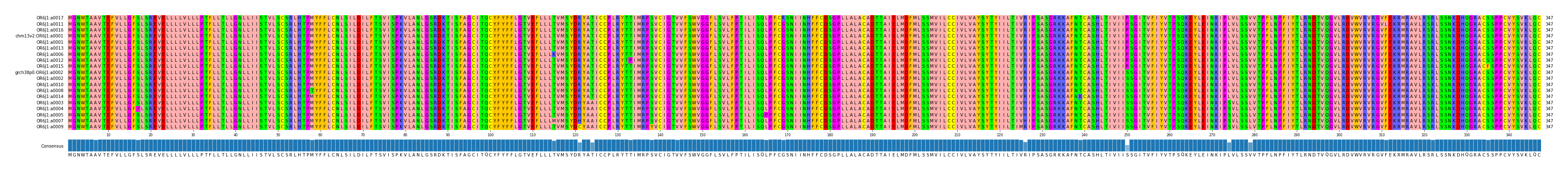 Multiple Alignments (by translate haplotype similarity)