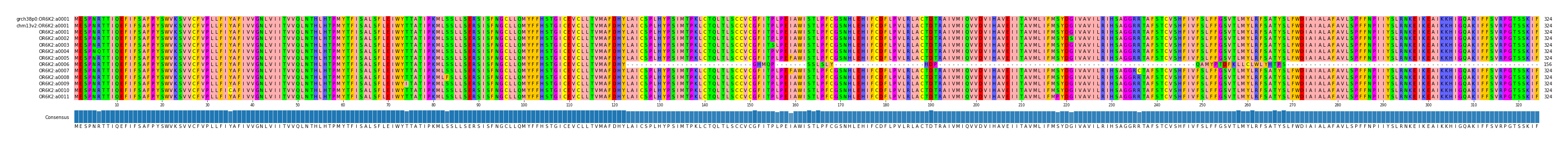 Multiple Alignments (by translate haplotype frequency)