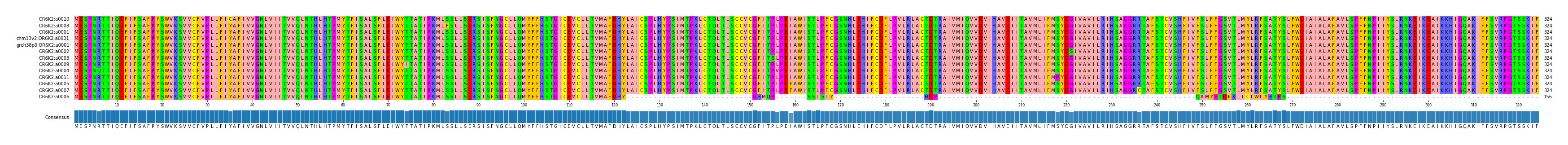Multiple Alignments (by translate haplotype similarity)