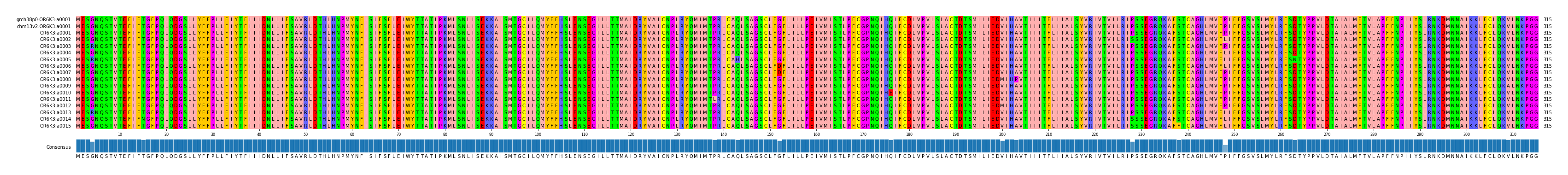 Multiple Alignments (by translate haplotype frequency)