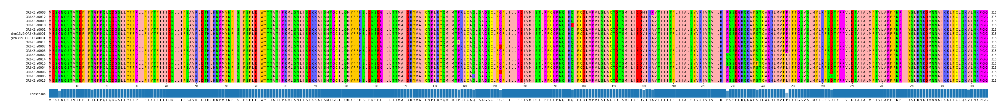 Multiple Alignments (by translate haplotype similarity)