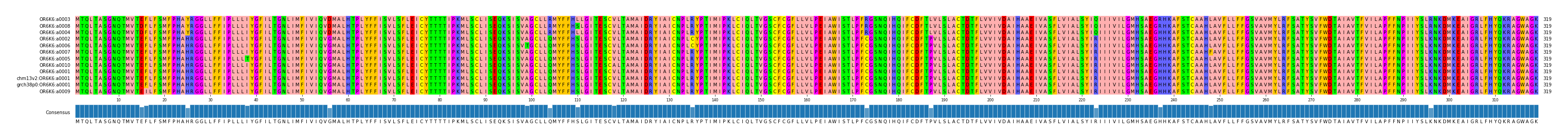 Multiple Alignments (by translate haplotype similarity)