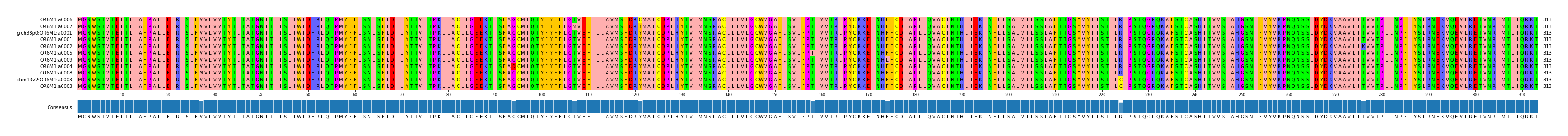 Multiple Alignments (by translate haplotype similarity)