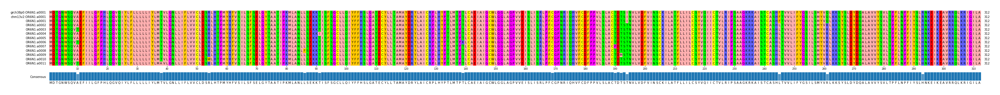Multiple Alignments (by translate haplotype frequency)