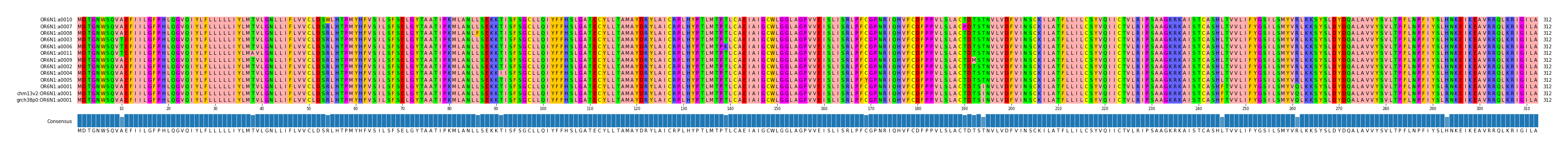 Multiple Alignments (by translate haplotype similarity)
