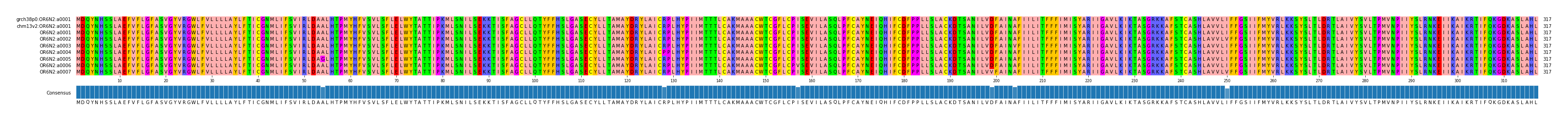 Multiple Alignments (by translate haplotype frequency)