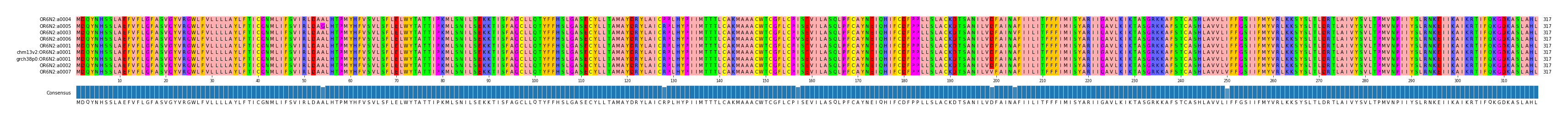 Multiple Alignments (by translate haplotype similarity)
