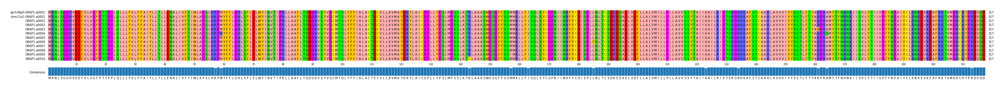 Multiple Alignments (by translate haplotype frequency)