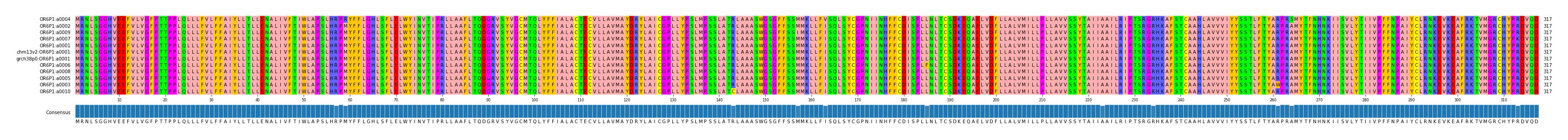Multiple Alignments (by translate haplotype similarity)