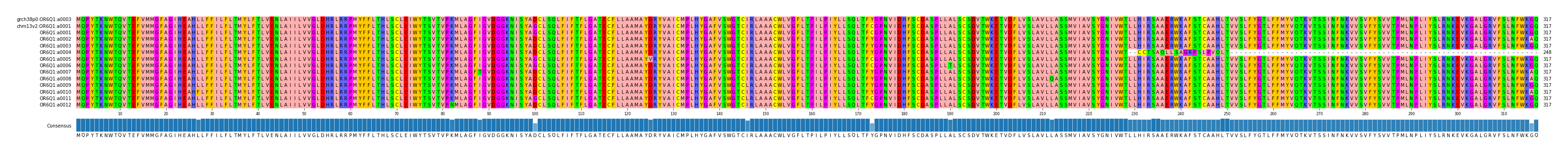 Multiple Alignments (by translate haplotype frequency)