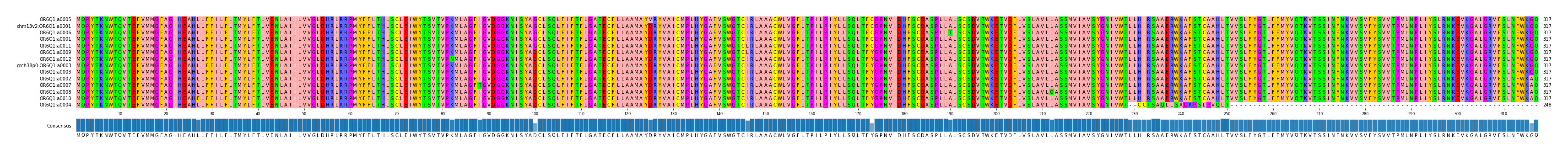 Multiple Alignments (by translate haplotype similarity)