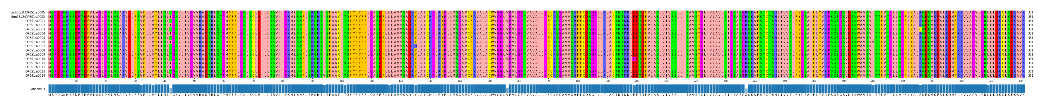 Multiple Alignments (by translate haplotype frequency)
