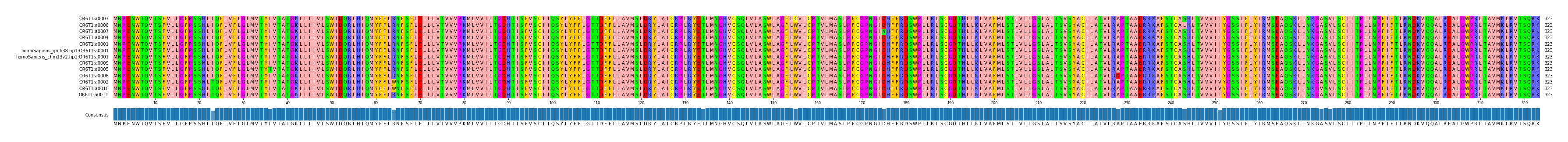 Multiple Alignments (by translate haplotype similarity)