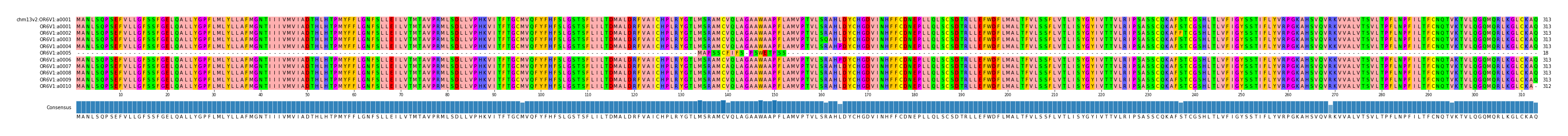 Multiple Alignments (by translate haplotype frequency)