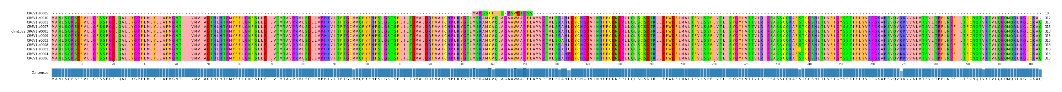 Multiple Alignments (by translate haplotype similarity)