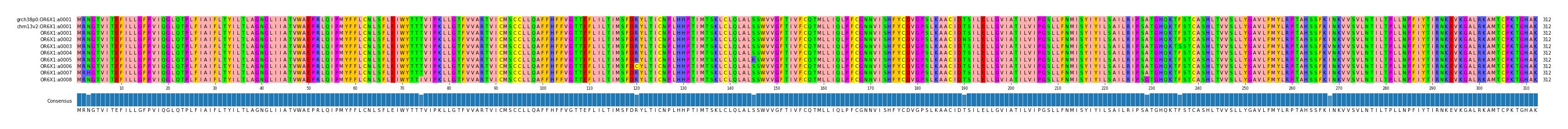 Multiple Alignments (by translate haplotype frequency)