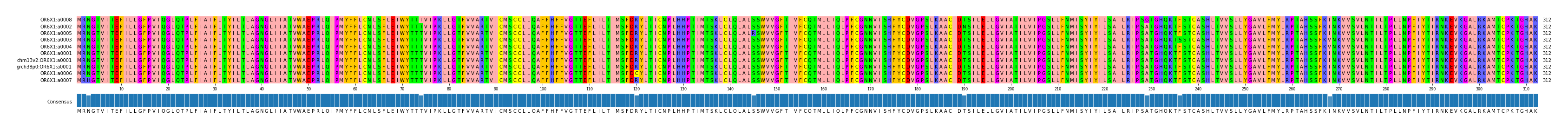 Multiple Alignments (by translate haplotype similarity)
