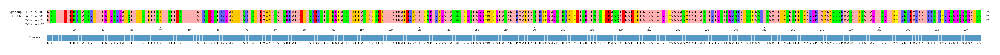 Multiple Alignments (by translate haplotype similarity)