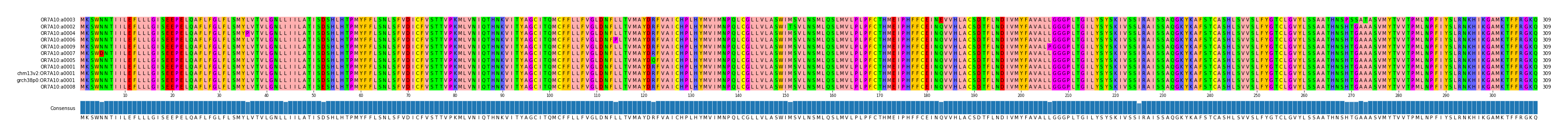 Multiple Alignments (by translate haplotype similarity)