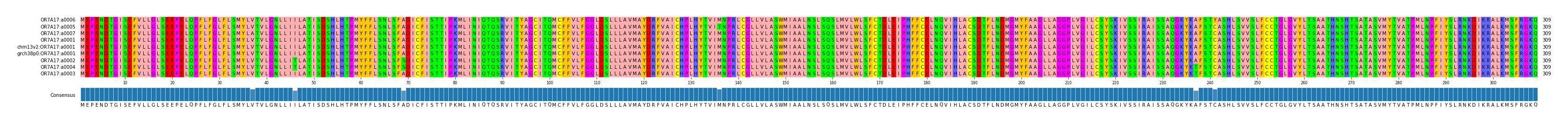 Multiple Alignments (by translate haplotype similarity)