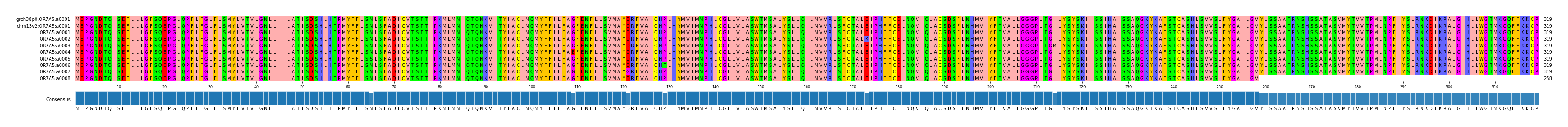Multiple Alignments (by translate haplotype frequency)