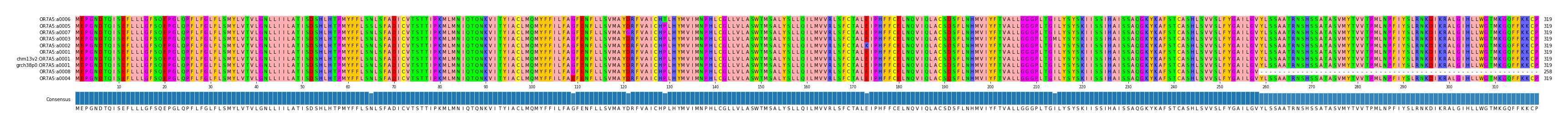 Multiple Alignments (by translate haplotype similarity)