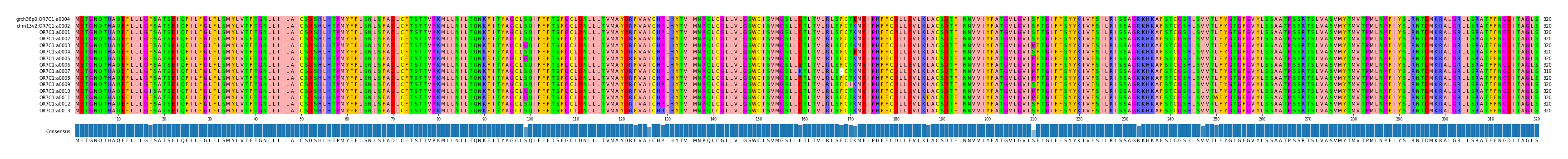 Multiple Alignments (by translate haplotype frequency)