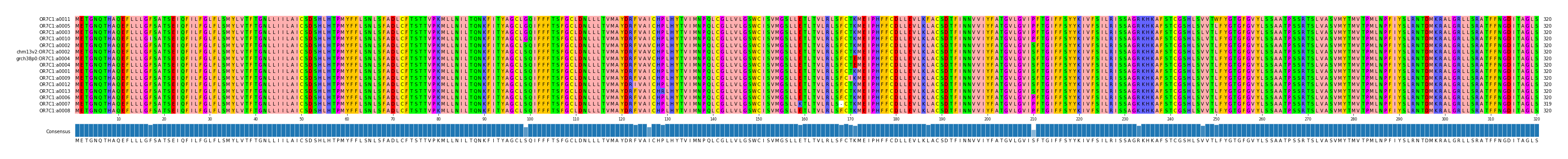 Multiple Alignments (by translate haplotype similarity)