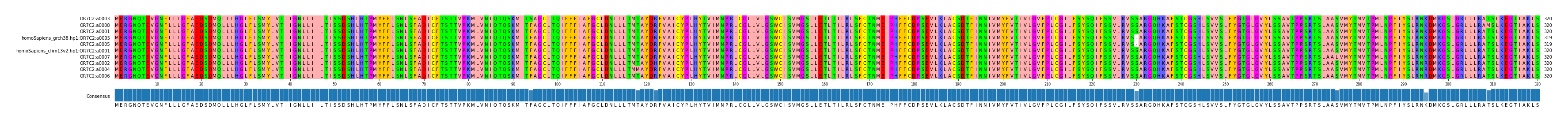 Multiple Alignments (by translate haplotype similarity)