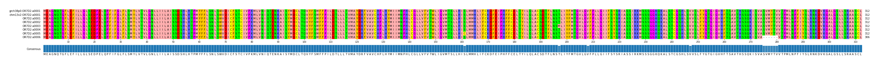 Multiple Alignments (by translate haplotype frequency)